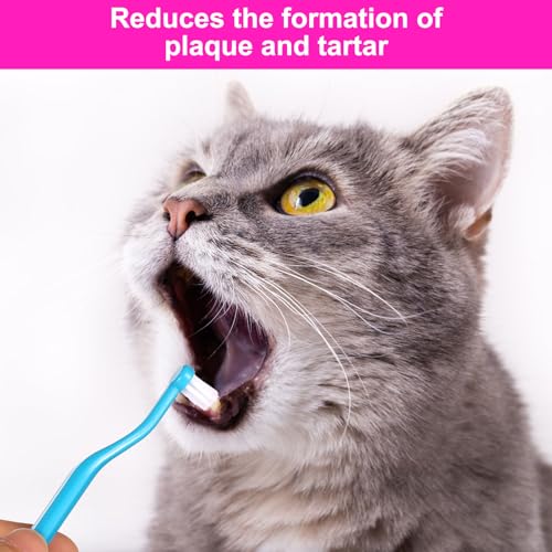 2pcs Dual Sided Cat Toothbrush, Micro Head Kitten Teeth Cleaning Brush with Curved Handle Cat Dental Care Supplies Reduce Plaque Tartar Formation & Bad Breath 2pcs Dual Sided Cat Toothbrush, Micro Head Kitten Teeth Cleaning Brush with Curved Handle Cat Dental Care Supplies Reduce Plaque Tartar Formation & Bad Breath