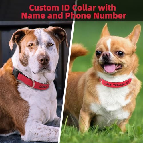 Hundehalsband Personalisiert mit Namen und Telefonnummer Bestickt für XS Kleine Mittlere Große Hunde(rot)