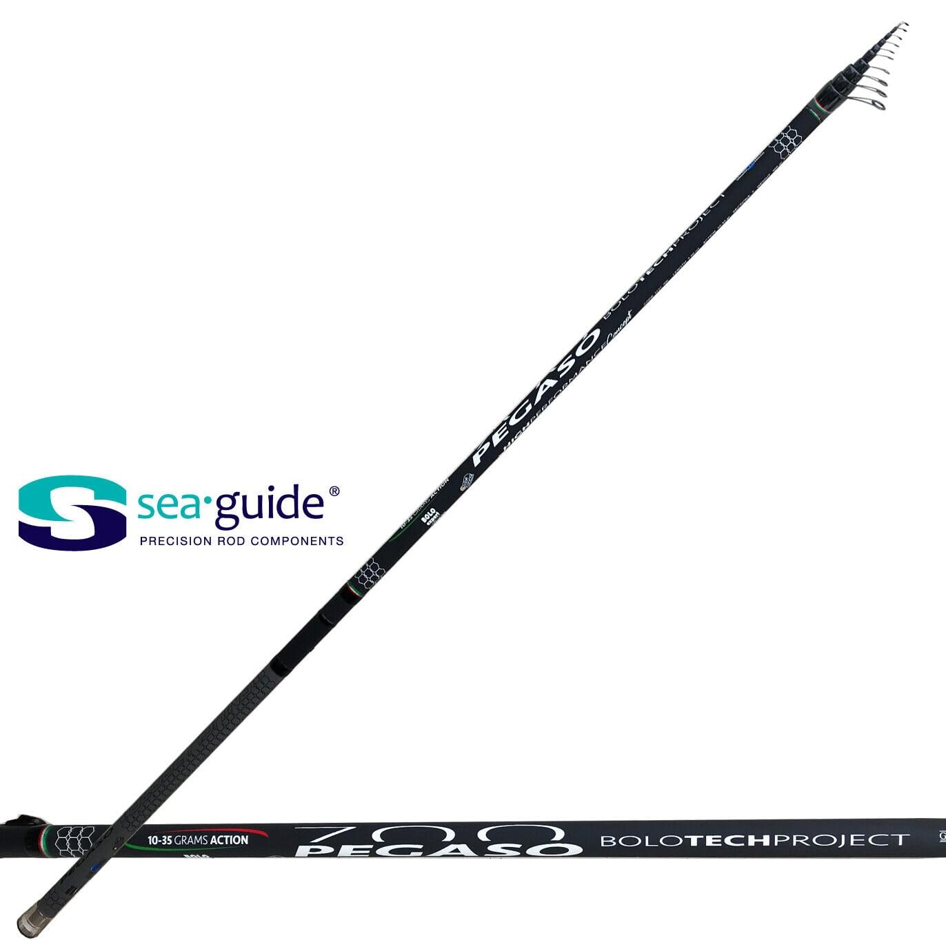 Canna Bolognese Competizione 7 Metri Azione Punta Pesca Mare Spigola Pegaso