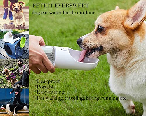PETKIT Eversweet Borraccia per Cani Portatile