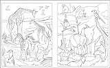Zoom IMG-2 animals coloring book colouring