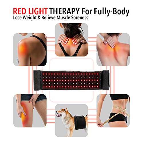 Tabevio Red Light Therapy Belt For Body-Near Infrared Light Therapy Device For Back Shoulder Waist Muscle Pain Relief，Relaxing Muscle Improve Circulation With Timer For Women Men Father's Day Gift #TOP1