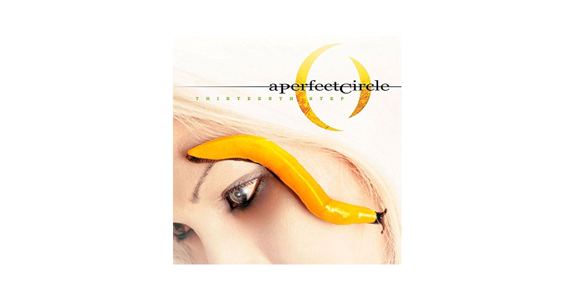 米2LP A Perfect Circle Thirteenth Step 724358091816 Virgin /00520 A Perfect Circle: Thirteenth Step Vinyl 2LP — TurntableLab.com