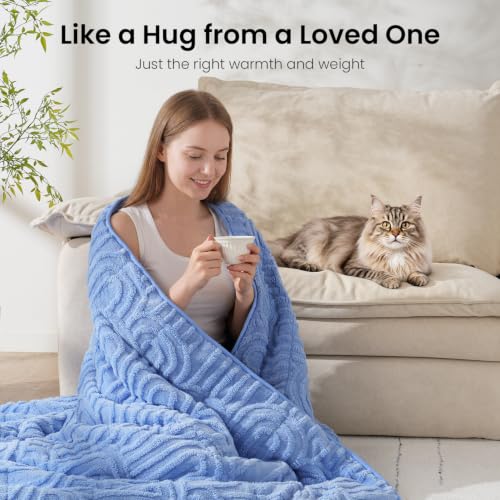 Image of Drewin Weighted Blanket for Adults Queen Size 15lbs, Soft Cozy Turtleback Sherpa Weighted Blankets for Sleeping and Calming, Thick Bed Blanket for Couch Bed, 60 x 80 inches, Sky Blue
