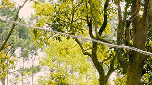 Ctsc 75Ft 95Ft 110Ft 250Ft Zipline Kit With Stainless Steel Spring Brake And Seat #TOP2