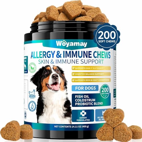 Woyamay 200 Skin & Daily Support Treats for Dogs, Skin Comfort Chews for Coat, Paws with Salmon Oil & Omega-3, Supports Daily Comfort, Chicken Flavor
