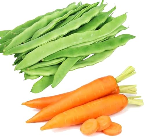 Bundle Vegetable Seeds for Planting: Chinese Green Bean Helda Seeds + Carrot Seeds