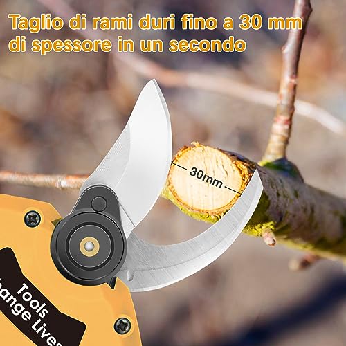 Mejores comprativas On-line Tijeras para podar pasto Top diez. 33 Imagen adicional