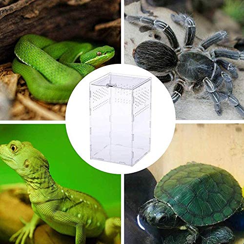 Yezytech Reptiel-voederdoos, insectenvoederdoos, acryl 360 graden transparante reptielkweekbox, insectenvoeder, huis… - Afbeelding 6