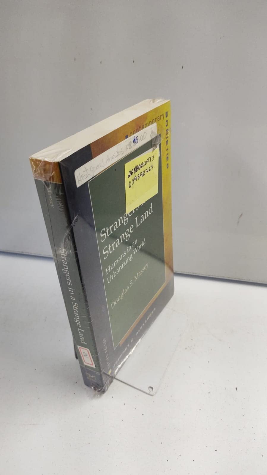 Strangers in a Strange Land: Humans in an Urbanizing World (Contemporary Societies Series)