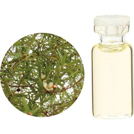 Amazon Co Jp Herbal Life レモンティートゥリー 10ml ドラッグストア