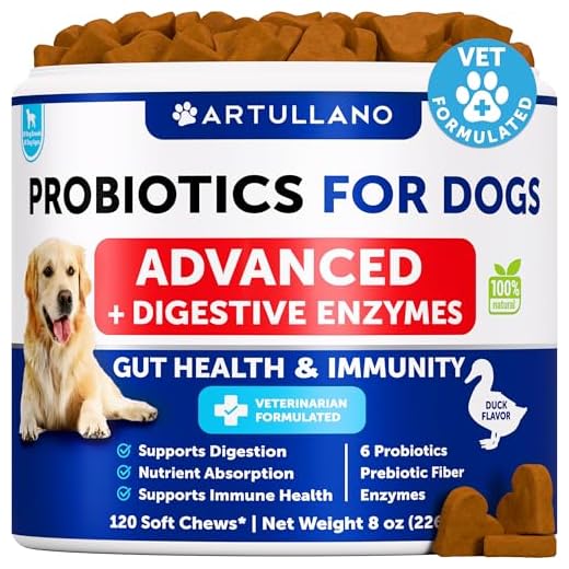 Probiotics for Dogs - Support Gut Health, Itchy Skin, Allergies, Immunity, Yeast Balance - Dog Probiotics and Digestive Enzymes with Prebiotics - Reduce Diarrhea, Gas - 120 Probiotic Chews for Dogs