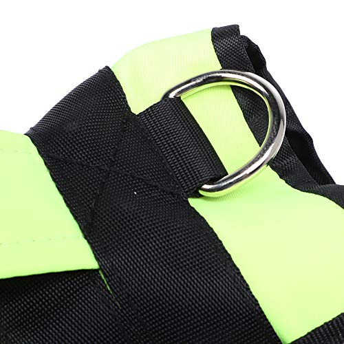 01 Dog Life Jacket, Sturdy Practical Lightweight Comfortable Pet Life Jacket, Convenient For Dog Professional Use General Purpose Cat(Silver Light Green, S) #TOP1