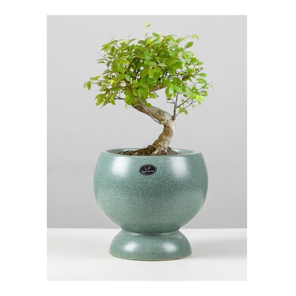 Doniczka, Ceramiczna doniczka z oświetleniem, luksusowa, kreatywna, do salonu, oddychająca