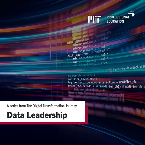 Data Leadership Ep. 3 │ Company Organization: Adjusting Methodology