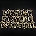 MJJEsports 67Pcs Antique Vtg Vieux Look Fleuri Skeleton Keys Lot Pendentif Coeur Fantaisie Noeud Favorise Bricolage Bijoux