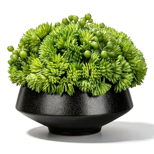Briful Succulents Plants Artificial in Ceramic Pots Fake Succulent Arrangement with Black Bowl Planter Large Faux Succulent Plants for Home Bathroom Shelf Desk Table Indoor Decor