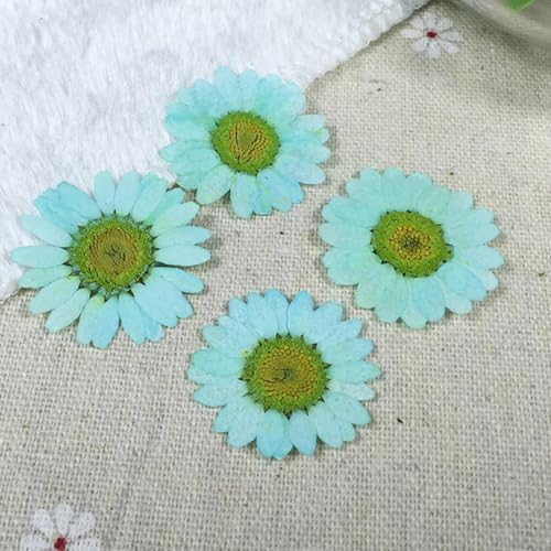 Collar con Colgante de Resina y Flores Secas miniatura 4