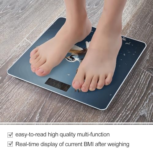 Balanza digital de baño con pantalla LCD grande miniatura 5