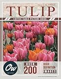  Tulip: Coffee Table Picture Book (Coffee Table Picture Book - Flowers - Over 200 HD images)