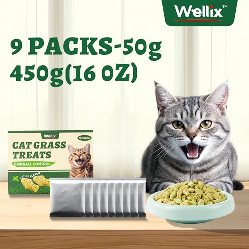 Wellix-450g16oz-Cat-Grass-Treats-Healthy-Kitten-Snacks-Natural-Salmon-Flavor-Dental-Cleaning-and-Hairball-Control-Catnip-Training-Biscuits-for-Indoor-Cats