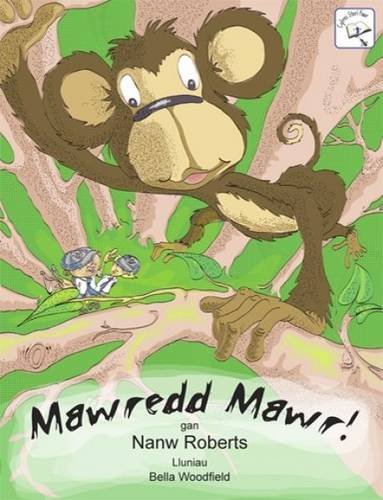 Mawredd Mawr (Welsh Edition)