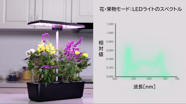 Amazon.co.jp: JustSmart 水耕栽培キット 室内 水耕栽培