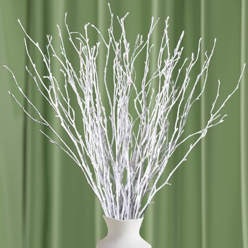 25 Pcs Real Dried White Birch Twigs Stems...