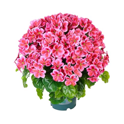 Geraniums Artificial Flowers Realistic – 1 Pack 18' Potted Faux Geranium Plants Deep...