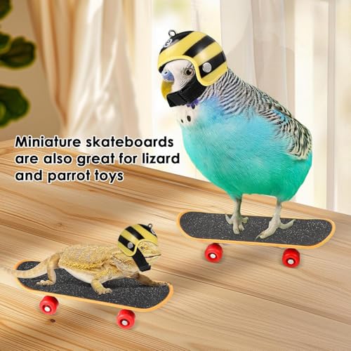 Schildkröten-Skateboard, Verstellbare Schildkrötenleine und lustiges Skateboard-Set, Trainingsgeschirr und Mini-Skateboard für Schildkröten, Schildkrötenhabitat-Zubehör
