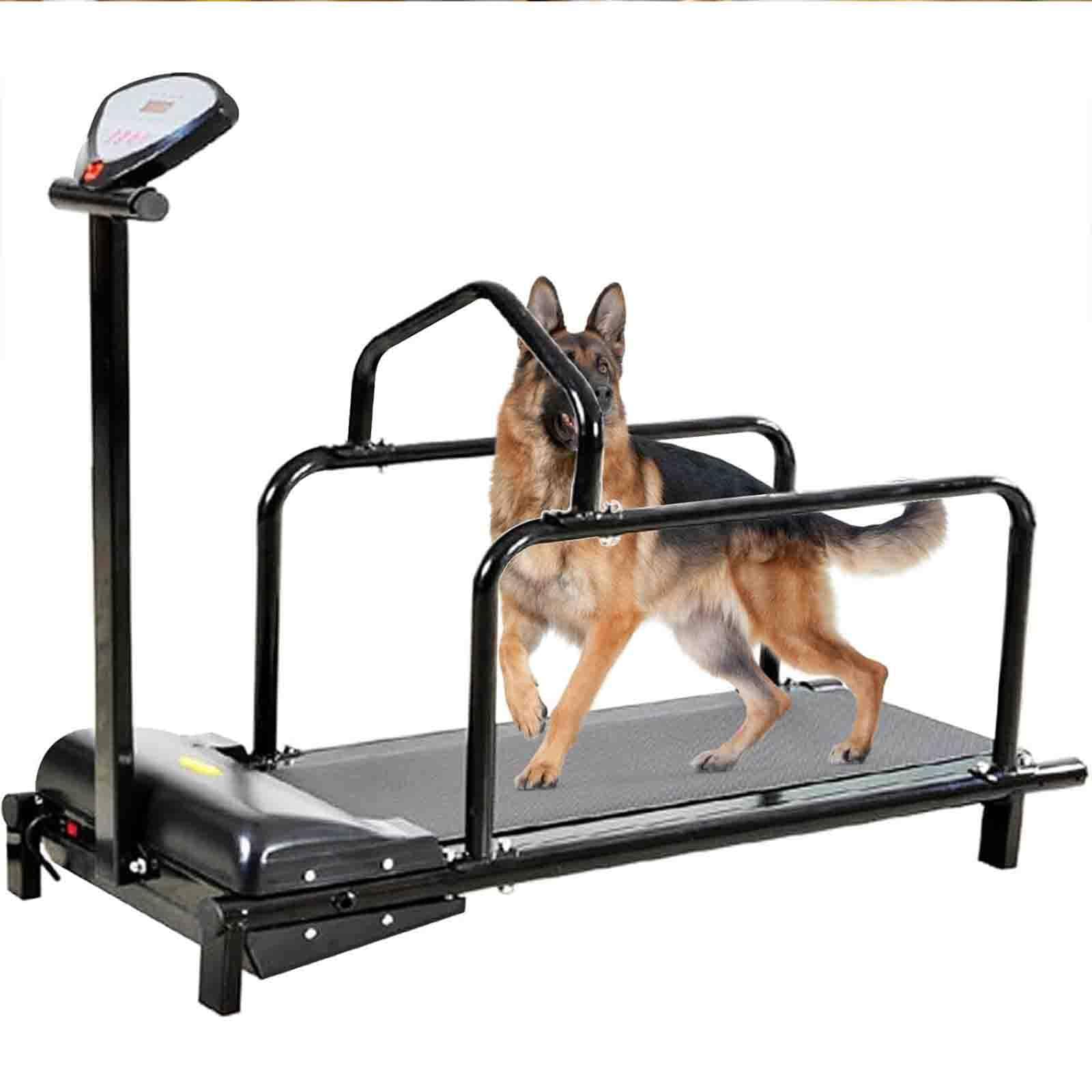 Hundelaufband für kleine und mittelgroße Hunde, Indoor-Laufband für Haustiere, Lamellenband, um Hunde aktiv und fit zu halten, Mehrere Modi und 15 einstellbare Geschwindigkeitsstufen