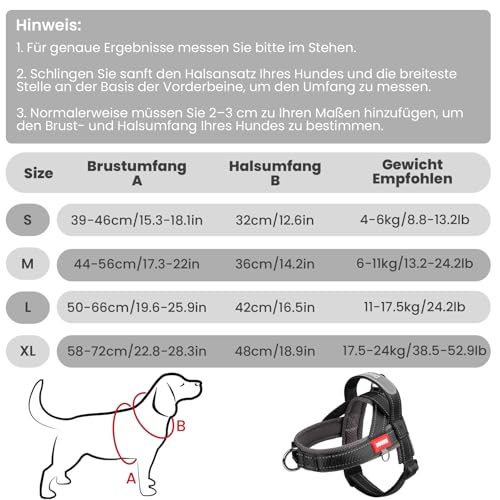 LiebeDD Hundegeschirr mit Leine für Mittelgroße Kleine Hunde Welpen, Bunt Farbblock Geschirr, Mesh Gepolstert Brustgeschirr Hund mit Griff und Brustring, Reflektierend & Leicht, Schwarzgrau, L