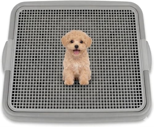 UPIT Puppy Potty Tray with Mesh – Dog Pee Pad Holder for Small Dogs & Puppies, Indoor Dog Potty Training Toilet, Plastic Leak-Proof Dog Potty Tray (Small - 20 x 16 in)