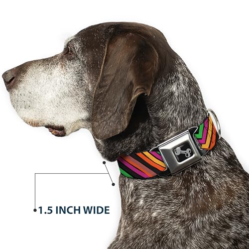 Collier de chien Buckle Down résistant pour éviter les fuites et sécuriser les sorties - 8