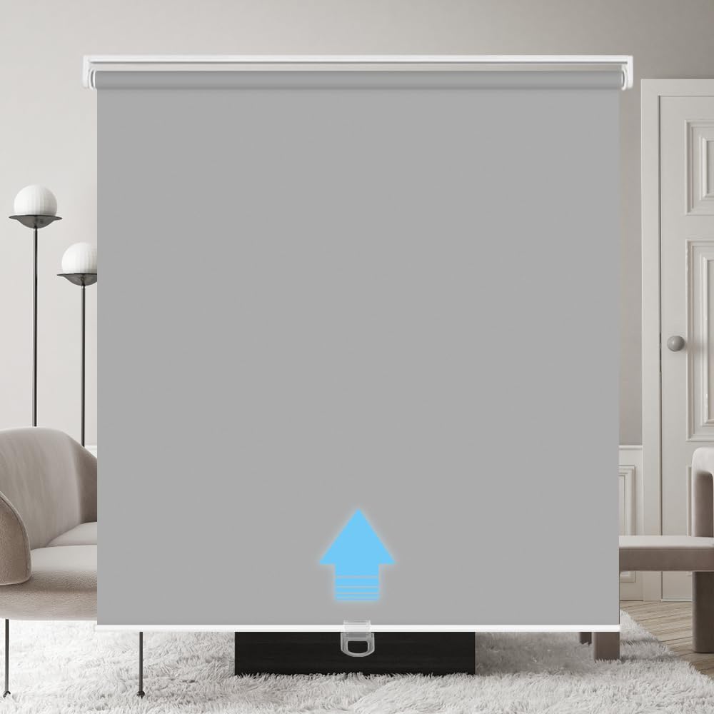 LUCKUP Blackout Cordless Roller Shades for Windows, Room Darkening Free-Stop Pull Down Rolling Blinds, Waterproof Thermal Insulated Window Shades for Home & Office, Grey, 20" W x 72" L Grey 20"W x 72"H