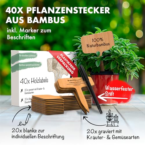 Pflanzenschilder Holz 40 Stk | 20 Pflanzschilder blank zur individuellen Beschriftung & 20 gravierte Schilder mit gängisten Kräuter & Gemüsearten | Kräuterschilder wetterfest | Pflanzenschilder