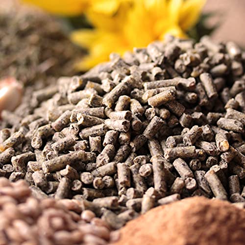 hühnergold® ProNatur Hühnerkorn 10 kg – Bio Premium Hühnerfutter, optimal mineralisiert, mit Bierhefe & Oregano-Öl, Alleinfutter für gesunde & Vitale Hühner, gentechnikfrei & ohne Palmöl