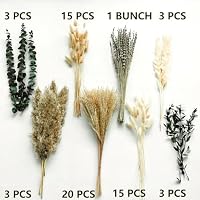 pampasgras deko - Tägliche Esszimmertisch Deko - Tischdeko & Trockenblumen Grünpampasgras Klein für Wohnzimmer, Deko Blumen Künstlich & Sommer Wohnung Deko im Boho Stil, Eucalyptus – Ansicht 6