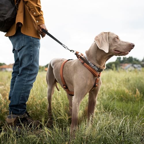 KFHENSOMR 2Stück Halti für Große Hunde Hundehalsband Clips, Halsbänder und Leinenverbinder Handgefertigter Backup-Sicherheitsgurt für Hundegeschirr Halsband Spaziergang und Wandern (Schwarz)