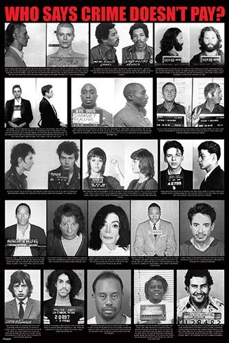 Celebrity Mugshot Poster 24x36 Home Decor Print