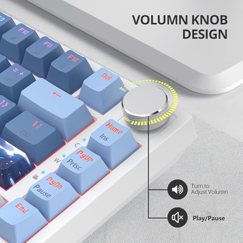 Clavier compact NKRO parfait pour optimiser le bureau d'un ordinateur portable ou PC - 4