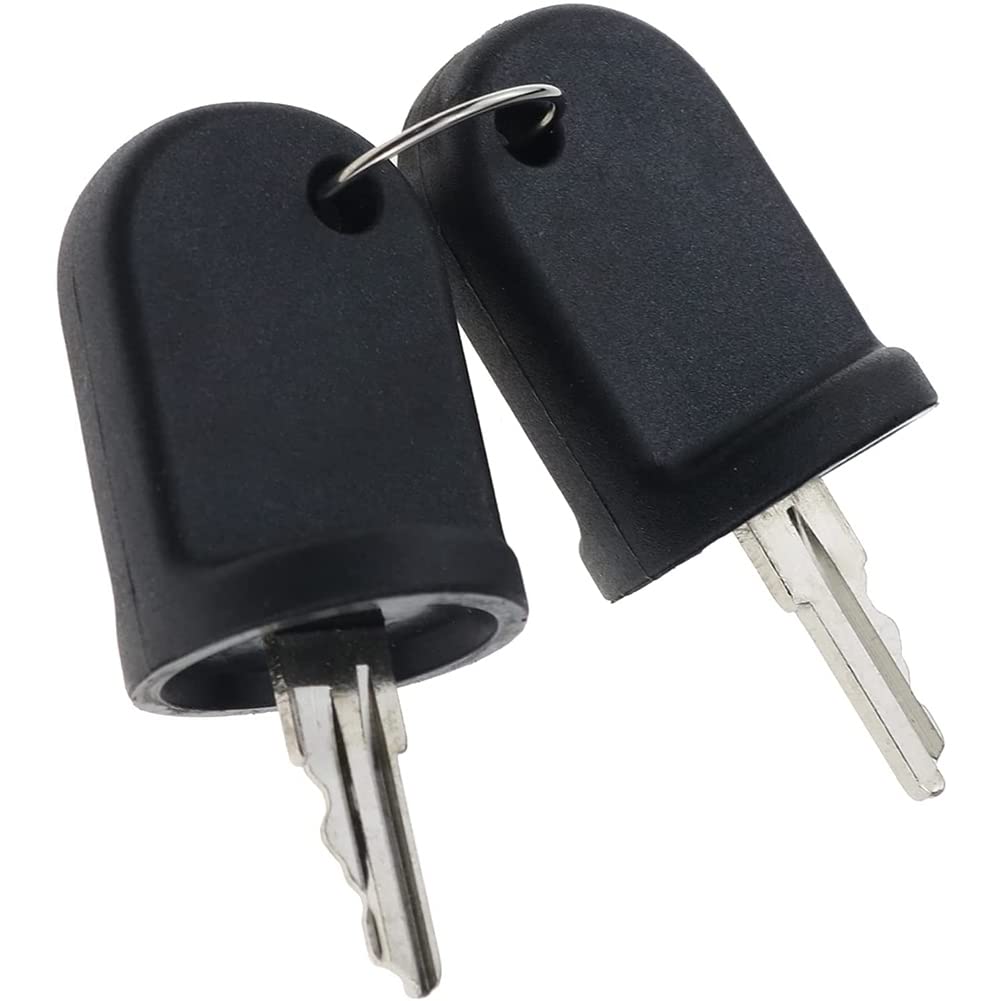 Osmond 2PCS Ignition Switch Keys Compatible for RXV G&E 611282 605946 606993