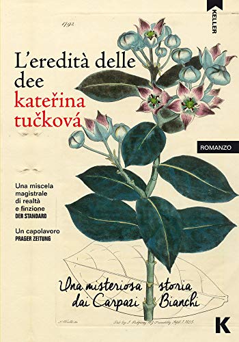 L'eredità delle dee: Una misteriosa storia dai Carpazi Bianchi
