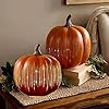 Set of 2 Illuminated Starry Night Glass Pumpkins | 2025 Halloween Twinkle Light Pumpkins Black | Fall and Thanksgiving Decor for Home Hallway Fireplace Mantel