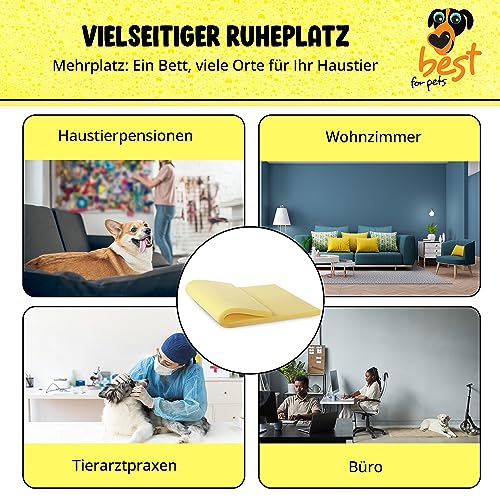 Best for Pets Orthopädisches Hundebett | Hundebett Waschbar | Viskoelastisches | Orthopädisches Hundekissen | Memory Foam Matratze | Hundematte Orthopädisch | Faltbares (45x55x4)