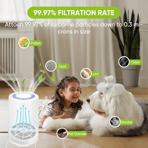 LBLVBNEWD 6 Pack Replacement HEPA Filter with Activated Carbon for Frida Baby Air Purifier 3 in 1, RIGOGLIOSO Air Purifier GL2103 and SY900S, JINPUS GL-2103, LTLKY 900S, Meleden Air Purifier GL2103 by LBLVBNEWD - Used condition - Image 7