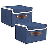 Lucky Monet Storage Bins Boxes with Lids 2 Pack Decorative Storage Boxes Collapsible Fabric Storage Basket Containers Lidded Storage Cube for...