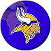 Creative Converting 8 Count Minnesota Vikings Paper Dinner Plates