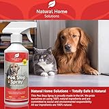 Pee Stop Spray Big Value 1L Urine Stop for Cat Dog Enzyme Urine Destroyer Repellent Stop Cats Dogs Repeat Marking Indoors Outdoors 100% Natural - Image 6