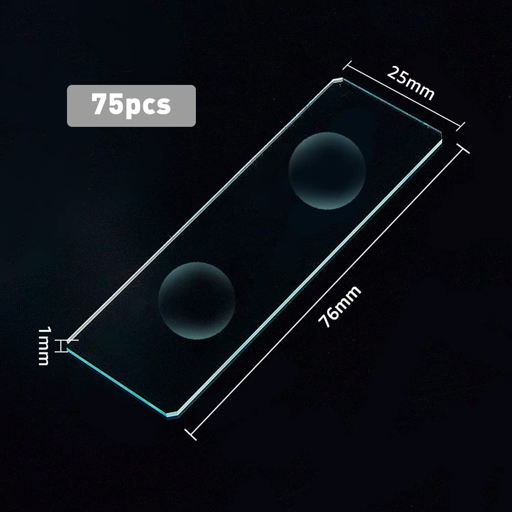 SUPERFINDINGS Vetrini per Microscopio da 20 Pezzo con Doppia Depressione Vetrino Doppio Concavo in Vetro da 76.5x25 mm Vetrini Coprioggetto Rettangolari Pre-Puliti per Forniture di Laboratorio